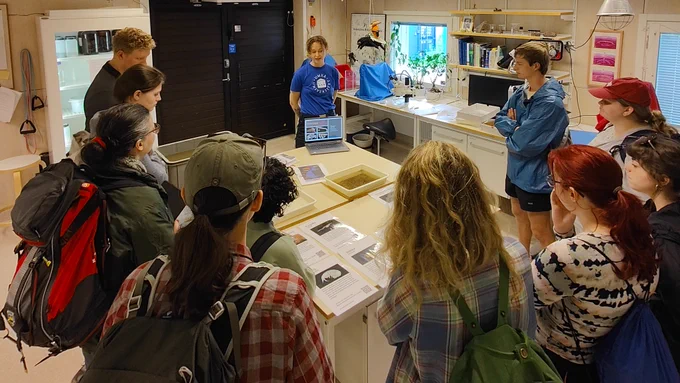 Students in lab looking at marine organisms