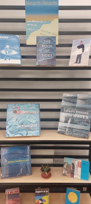 Books in the display