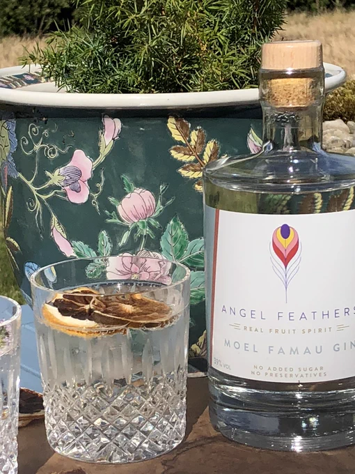 Glass of gin and tonic and a bottle of Moel Famau gin in the sunshine