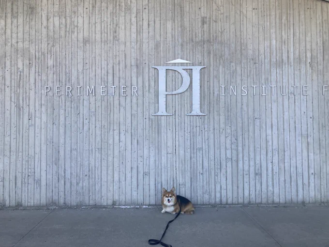A orange, black and white fluffy corgi stands in front of a cement wall with the letters PI and the words “Perimeter Institute”