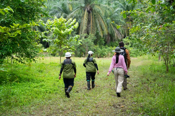 Conservationists walking on a green tropical forest path 