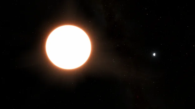 This is an artist impression of exoplanet LTT9779b orbiting its host star. The host star is located on the left as a large white circle with rays coming out of it in orange. The exoplanet is smaller and shown on the right of the image. The side of the exoplanet that is facing its host star is illuminated. The planet is around the size of Neptune and reflects 80% of the light shone on it, making it the largest known 'mirror' in the Universe. The background of the image is black and speckled across the image is a starfield, showing innumerable stars of many sizes.