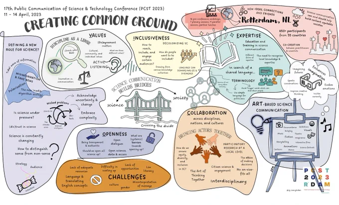 Visual summary of PCST themes (Credits: Carolina Pereira Marghidan) 