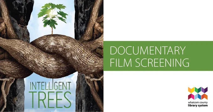 Cover image for the film Intelligent Trees, showing tree trunks on the left and right of image with conjoined roots linked in the middle. A smaller tree grows out of this junction. Text reads "Intelligent Trees". At right is text reading "Documentary Film Screening" and at bottom right is the WCLS logo of multicolored arrows over text reading "Whatcom County Library System".