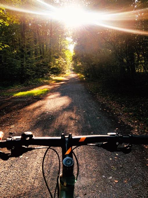 Heimweg mit dem Rad. Man sieht den Lenker. Davor ein Waldweg mit Licht und Schatten. Am oberen Bildrand sieht man die Sonne.