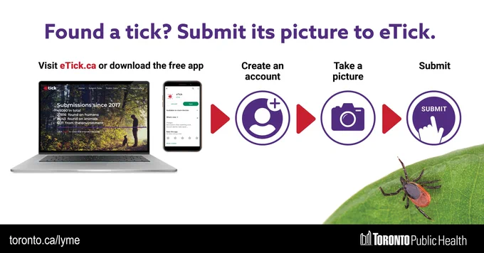 Text reads, “Found a tick? Submit its picture to eTick.” Image of a tick on a leaf in the bottom right corner. Toronto.ca/lyme. Toronto Public Health logo. 