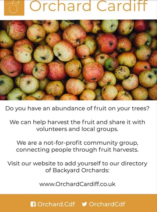 Apples photograph. Do you have an abundance of fruit on your trees? We can help harvest the fruit and share it with volunteers and local groups. Visit our website to add yourself to our directory of Backyard Orchards.