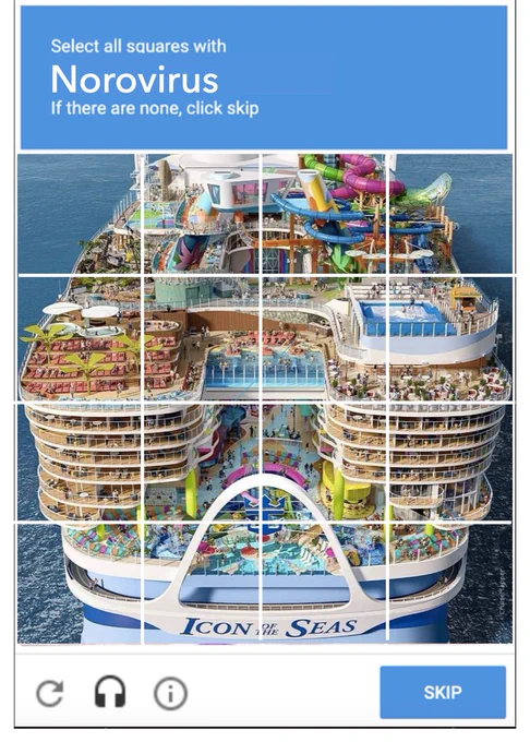 select all squares capcha with cruise ship and norovirus being prompt 
