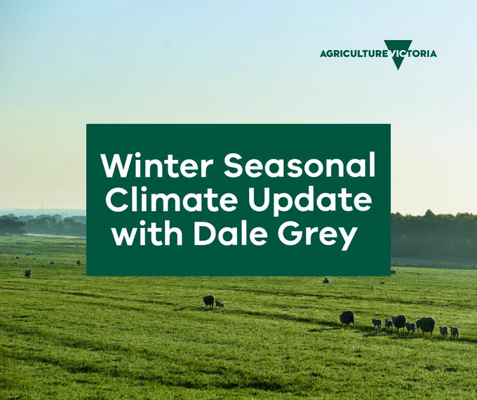 Green field with sheep, the text overlay reads 'winter seasonal climate update with Dale Grey'.