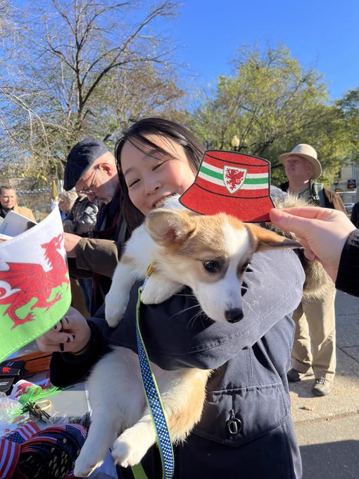 A Soccer in the Circle attendee holds up her Welsh Corgi with a Welsh flag and a FAW bucket hat coaster.