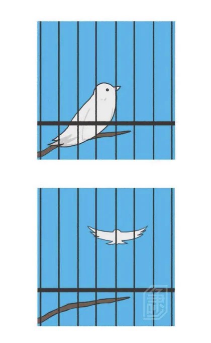 The little bluebird is free.It flew into the sky.