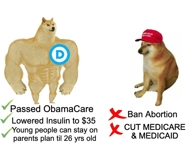 Meme with big dog & small dog. Big dog wearing the D logo passed Obamacare, lowered insulin to $35, young people can stay on parents plan til 26 years old. Small dog in a MAGA hat wants to ban abortion and cut Medicare and Medicaid