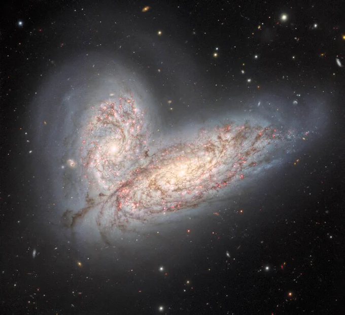 This image from the Gemini North telescope in Hawai‘i reveals a pair of interacting spiral galaxies — NGC 4568 (bottom) and NGC 4567 (top) — as they begin to clash and merge. The galaxies will eventually form a single elliptical galaxy in around 500 million years. The galaxies both appear light blue and white in colour, with dark rust-coloured dust lanes visible forming a spiral pattern.

Credit: International Gemini Observatory/NOIRLab/NSF/AURA Image processing: T.A. Rector (University of Alaska Anchorage/NSF's NOIRLab), J. Miller (Gemini Observatory/NSF's NOIRLab), M. Zamani (NSF’s NOIRLab) & D. de Martin (NSF’s NOIRLab)