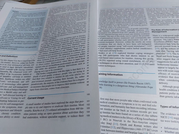 Two large closely written pages of text in double columns