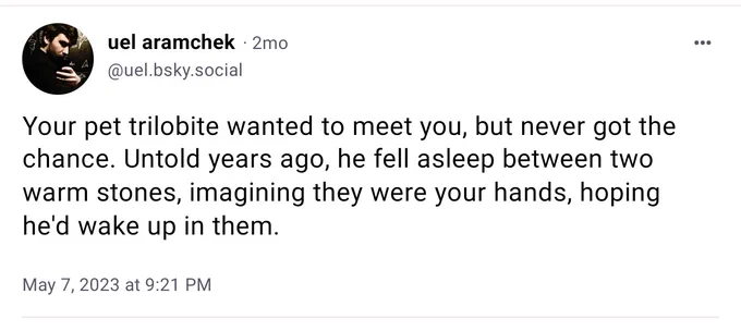 "Your pet trilobite wanted to meet you, but never got the chance. Untold years ago, he fell asleep between two warm stones, imagining they were your hands, hoping he'd wake up in them." 