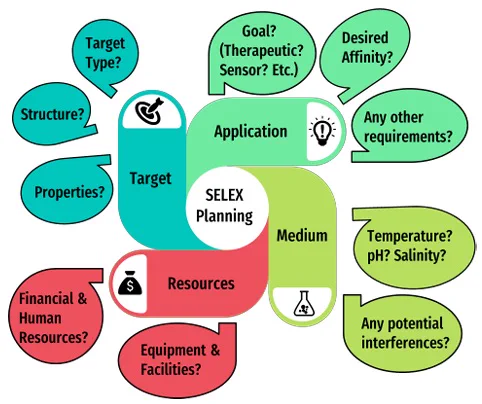 Infographic listing some key questions that can help inform your SELEX experiment relating to your target, application, medium, and resources.