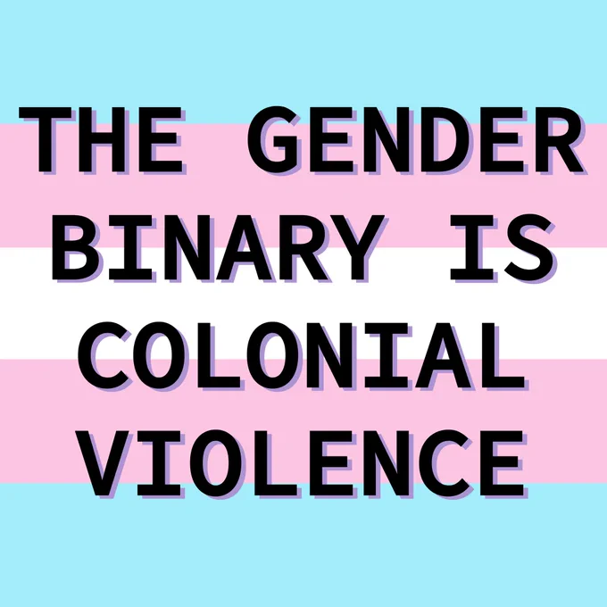 black text with light purple highlights reading "the gender binary is colonial violence" set over a background of the trans pride flag. The flag has a light blue horizontal stripe on top, followed by light pink, and then white, followed by pink and blue.