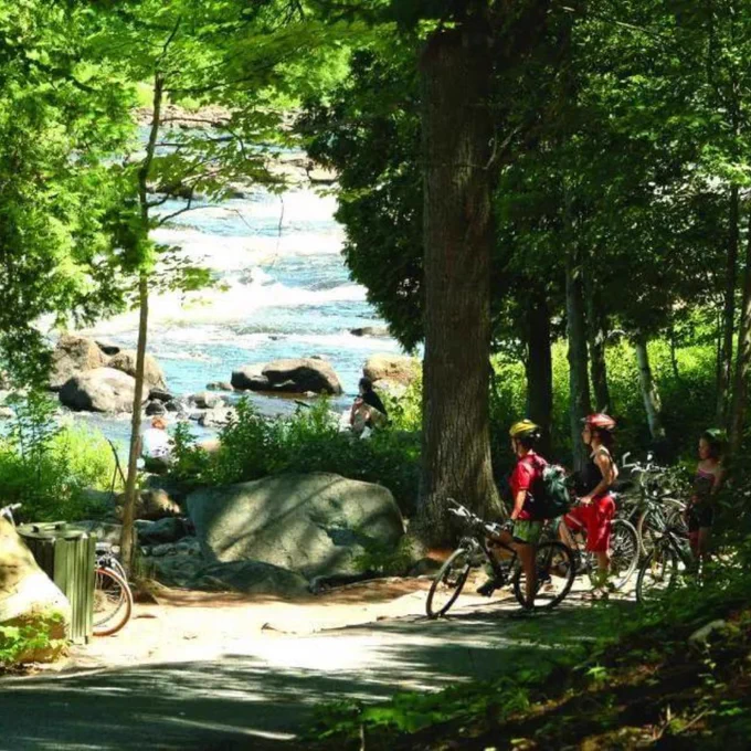 📍 Piste cyclable Dansereau — La Liseuse
📸 Pierre Joosten
