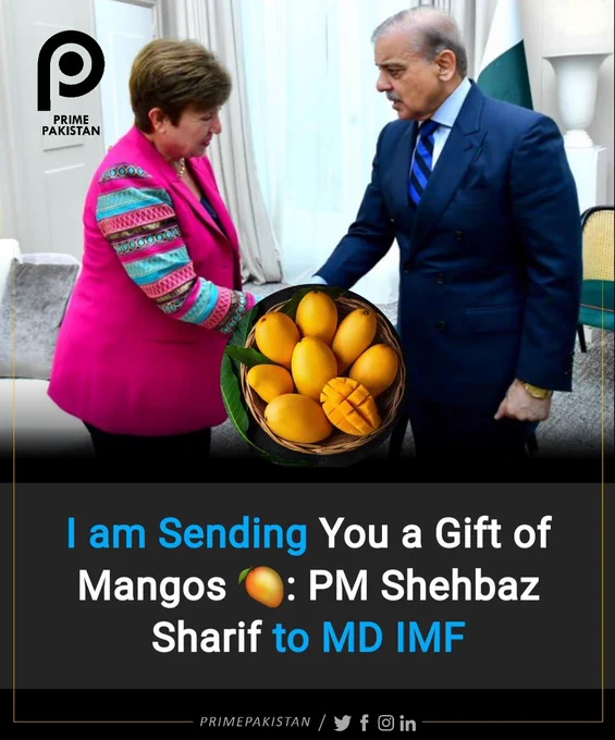 Emphasizing the superior quality and taste of Pakistani mangoes, he expressed his desire to send this gift as a gesture of respect and appreciation.

Prime Minister Shehbaz Sharif also conveyed his admiration for the professionalism and leadership of MDIMF, while commending her compassion towards the underprivileged. He expressed his gratitude for the assistance provided by Pakistan, acknowledging that words are insufficient to express his thanks.

Following the Paris meeting with MDIMF, the Prime Minister informed the finance minister, who worked tirelessly with the economic team to address every question and concern raised by the IMF. These efforts paved the way for the IMF agreement, with the Prime Minister playing a crucial role in facilitating consensus between the involved parties. As a result of his efforts and connections, a $3 billion standby arrangement was achieved.