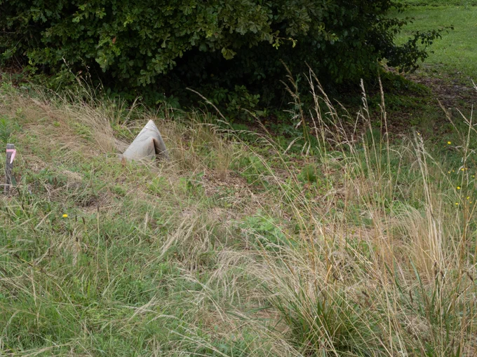 Lonesome and forgotten.  The cone is fading and left in a field.
