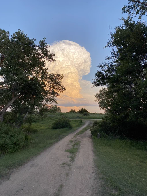Cumulonimbus cloud with orangey sunset glow in an otherwise blue sky. In the foreground is a two track between green trees and grass.