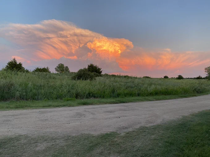 Supercell at sunset over a field of sunflowers