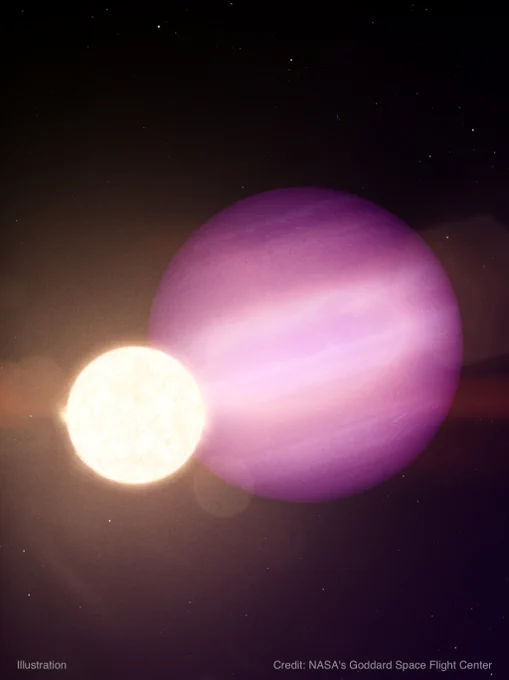 Illustration of planet WD 1856 b and its host star shows a large pink and purble orb next to a smaller, glowing star.