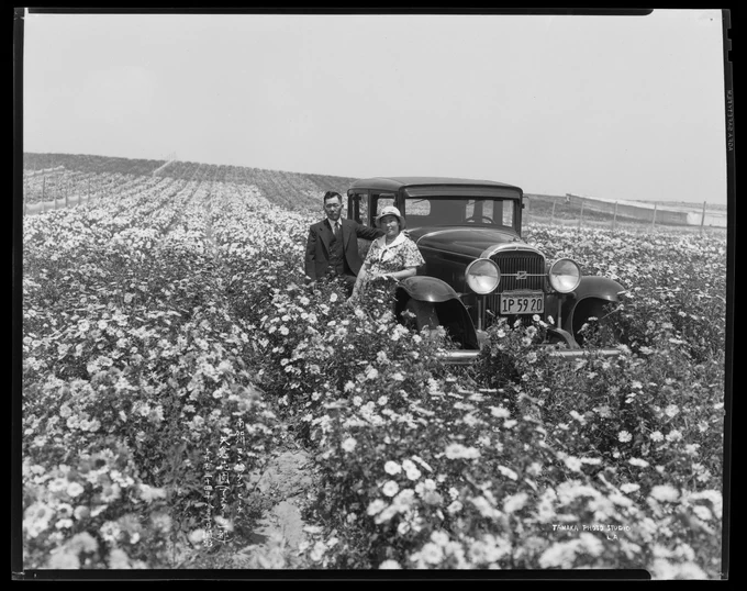 Black and white photograph of a car parked in a field of flowers. A man and a woman are standing next to the car in the field.