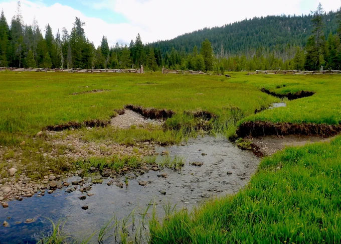 Childs Meadow; a stream meanders through a lush green meadow in a mountainous landscape. PC Sarah Yarnell 2015. 