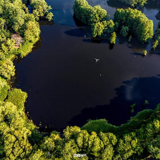 Birdseye of Greenfield Lake