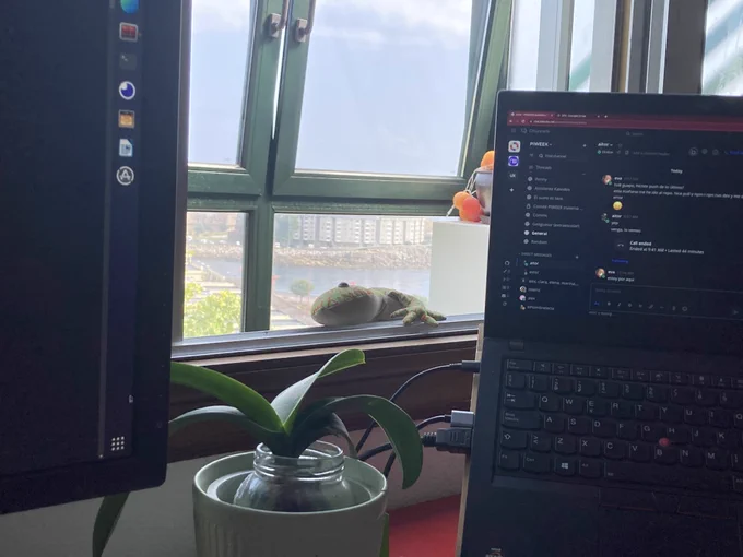 Eva's views of Galician coast from her desk. 