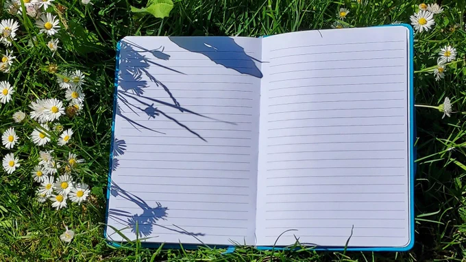 Open notebook on the ground, surrounded by daisies on either side.