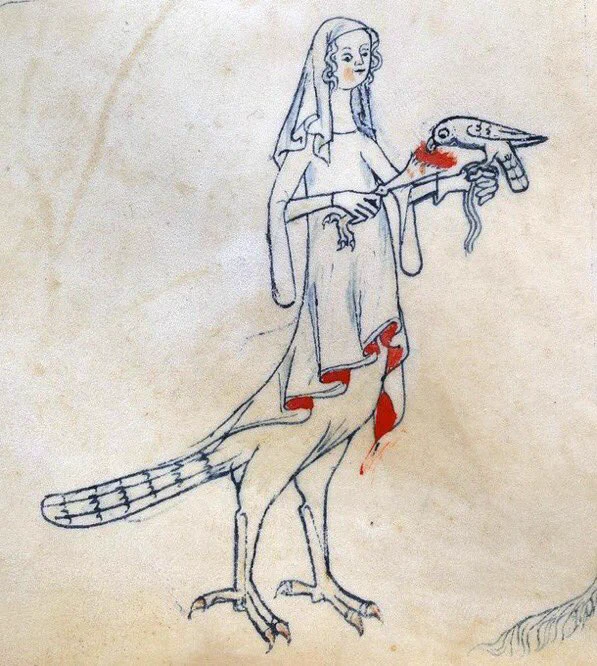 a medieval drawing of a woman whose lower half of her body is that of a bird. she is holding a bird on her arm and feeding it a bloody severed leg with a bird-like foot
