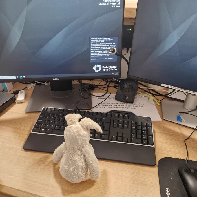 The cream, floppy eared bunny sits at the reception desk facing two computer screens, a keyboard and a microphone. Their first day at work is going well, but they're excited to be reunited with their owners soon.