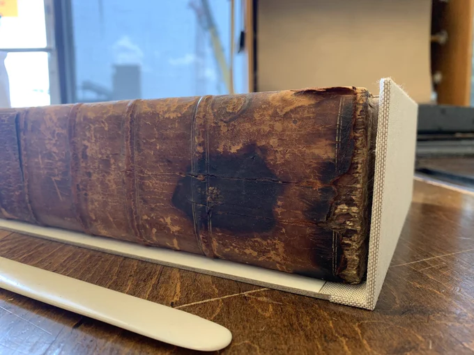 Spine foot detail of a 1524 copy of Erasmus’ “Paraphrases,” resting in the lower tray of its soon-to-be new clamshell enclosure. The book is an old leather binding missing it’s front board, and the box tray is three-sided (open on the spine-side). The leather is desiccated and discolored, and the spine-folds of the page gatherings are visible through the lost leather.