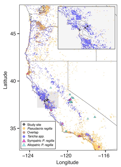 Map showing areas of sympatry between P. regilla frogs and Taricha newts. Smaller inset of the Bay Area showing our field sites.