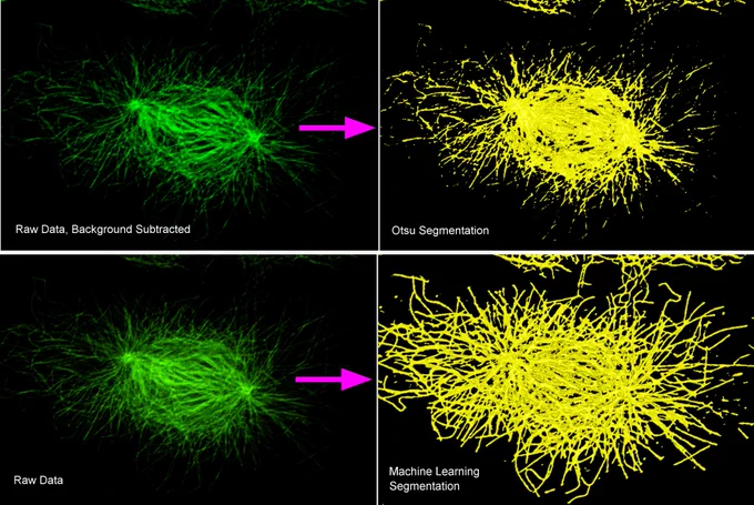 3D views of tubulin distribution in a prometaphase BPAE cell. For Otsu segmentation, background was first subtracted.  For machine learning segmentation, the algorithm was trained manually on the raw data by defining  2 classes, background and objects