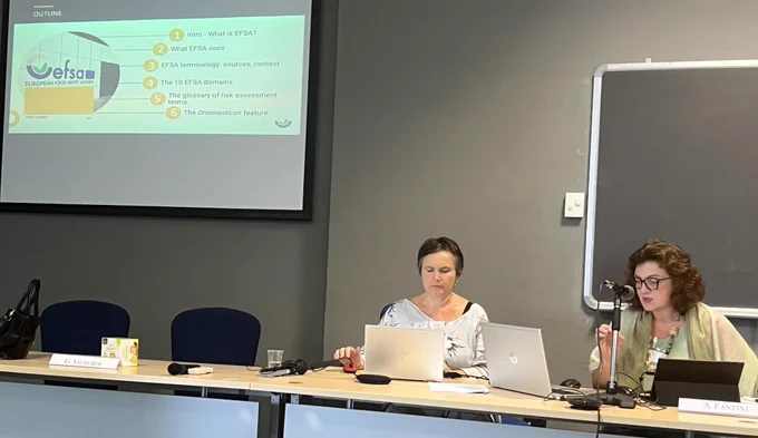 Alessandra Fantini presenting at the Terminology Summer School 2023