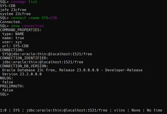 Using SQLcl to list the names of saved connections, then using one to connec. Finally showing the connection details. 