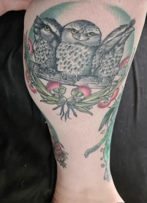 An illustrative style tattoo of three tawny frogmouth birds