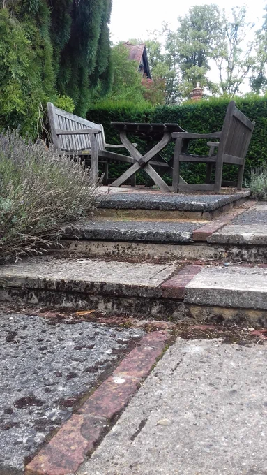 A secluded corner in the gardens of Robinson College, Cambridge. A bench to sit, surrounded by lavender.