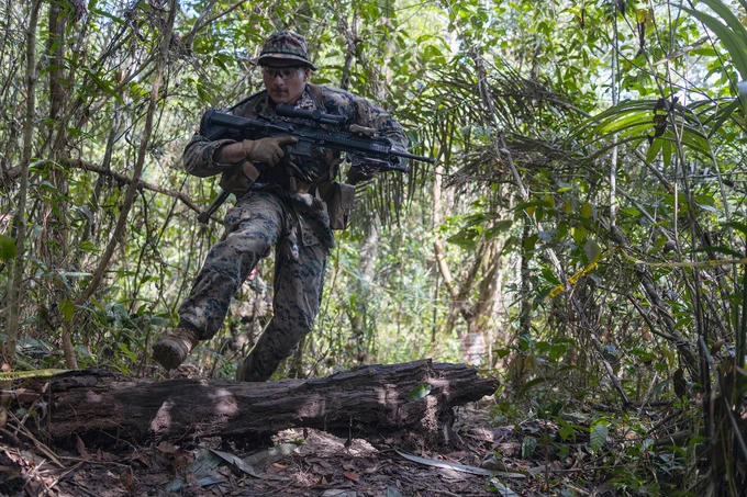 U.S. Marine Corps Lance Cpl. Miles Simpson, a rifleman with Fox Company, 2nd Battalion, 25th Marine Regiment, 4th Marine Division, Marine Forces Reserve, scans for targets while conducting a jungle patrol drill during Jungle Amphibious Training School (JATS) Tradewinds 23 at the Jungle Area Training Site, Guyana, July 18, 2023. Tradewinds is a U.S. Southern Command-sponsored exercise designed to strengthen partnerships and interoperability, promote human rights, as well as increase all participants’ training capacity and capability to mitigate, plan for and respond to crises and security threats. Simpson is a native of Springfield, Massachusetts and is a system manager at Florence Bank. Simpson graduated from Commerce High School. (U.S. Marine Corps photo by. Cpl. Ryan Schmid)