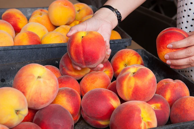 Person holding peaches and whole peaches in containers.