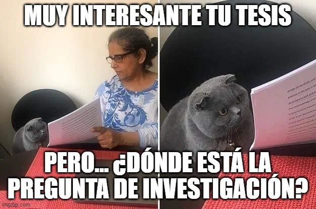 Dos paneles, en el de la izquierda una señora mostrándole a un gatito gris un documento. En el segundo panel el gatito con el documento, viéndolo detenidamente. En la parte superior de los dos paneles, el texto "muy interesante tu tesis" y en la parte inferior "pero...¿dónde está la pregunta de investigación?"