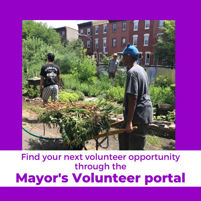 Purple graphic with a photo of a volunteer pushing a full wheelbarrow at an outdoor garden. Other volunteers are visible in the background, close to plant beds. Purple text over a white box at the bottom reads, “Find your next volunteer opportunity through the Mayor’s Volunteer portal.”