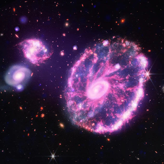 Webb-Chandra composite image of the Cartwheel Galaxy, showing a neon pink disk with an outer ring, and a solid, slightly off-center spiraling core. Linking the smooth core and the irregular outer ring are wispy pink plumes of silicate dust which resemble twisted spokes on a bicycle wheel. In between these "spokes" are bluish pink regions. At the upper left of the image are two small companion galaxies, also pink in color. One companion galaxy is shaped like a backwards S, and is marked by bright white dots and tangles of fine crinkly lines. Below it, the second companion galaxy appears delicate and smooth, like a faded swirl of cotton candy.