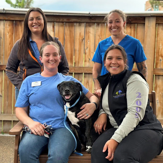 4 people at the Buddy Center sitting and standing around a bench outside with a large black and white dog.