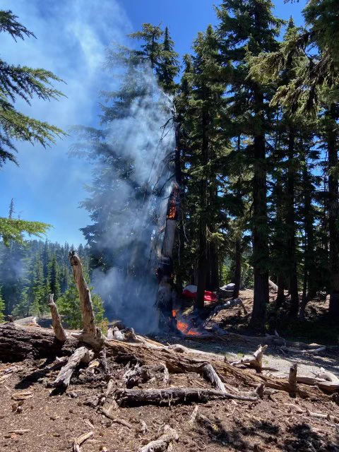 Photo of Incident 513 with flames engaged in a dead tree and minimal fire spread on the ground.
