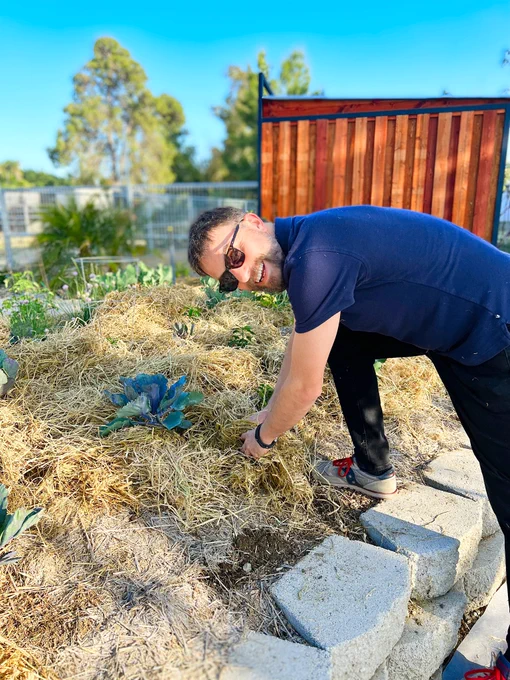 Professor Titus Brown, smiling, bent over a raised garden bed, weeding.