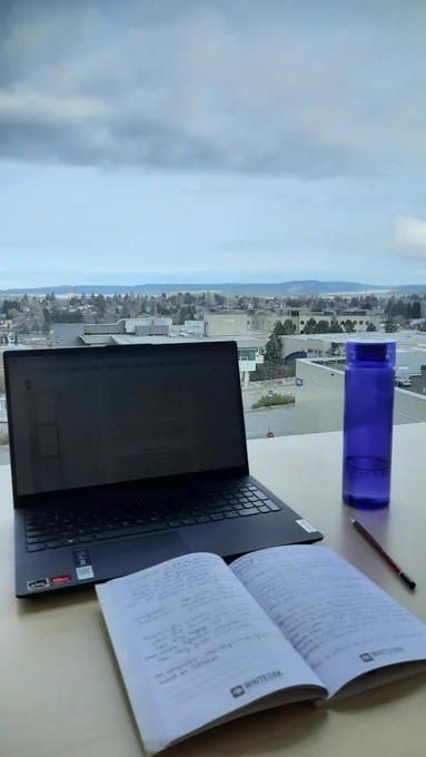 View of the City of Nanaimo from the VIU library